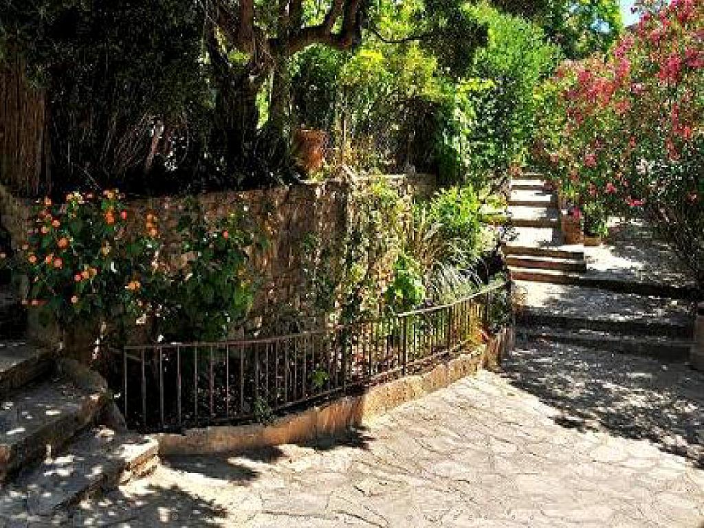 183 D24 BORMES LES MIMOSAS 2_000006.jpg